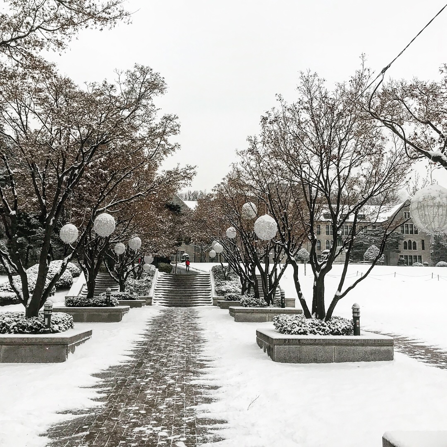 關(guān)于韓國(guó)留學(xué)的這些事出國(guó)前一定要了解！