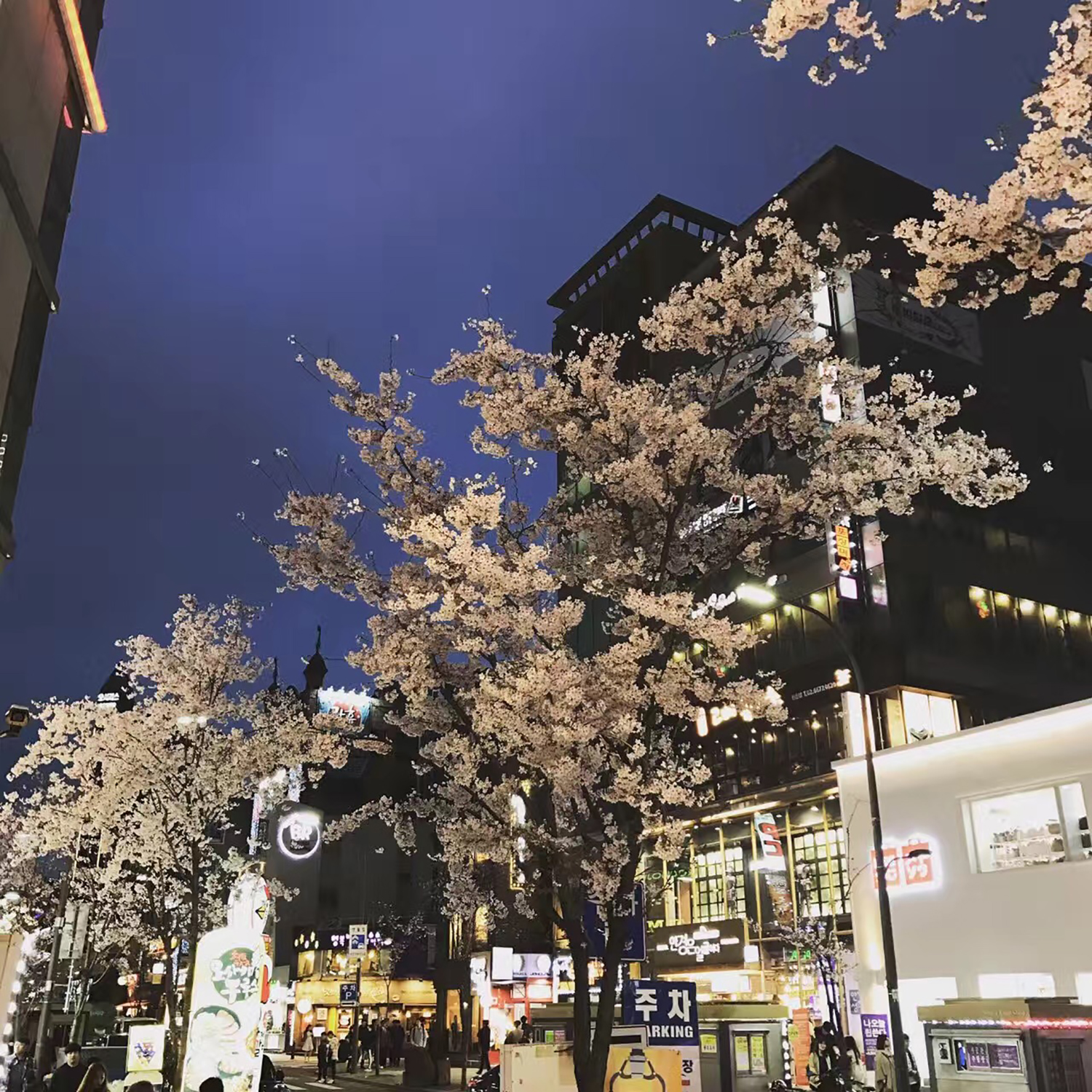 韓國留學(xué)  在韓國打工應(yīng)該注意什么