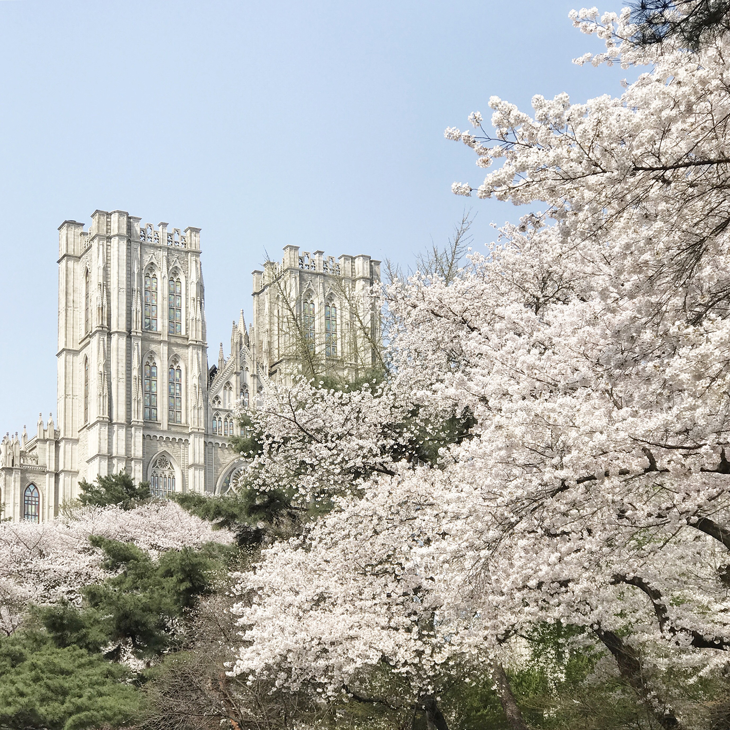 韓國留學(xué)超強(qiáng)干貨，趕緊收藏?。?！