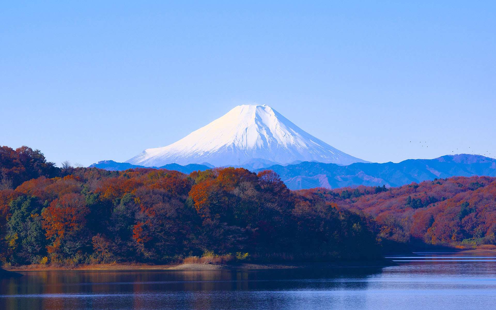 日語(yǔ)語(yǔ)法辨析之「～になる」和「となる」