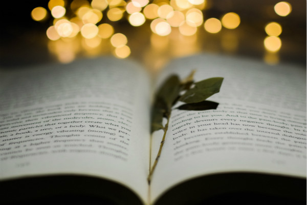 韓國(guó)留學(xué)怎么選擇專業(yè)？