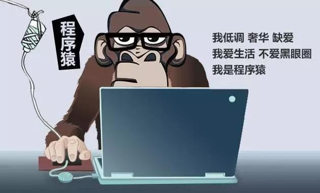 《達(dá)內(nèi)教育》程序員，你被內(nèi)卷了嗎？