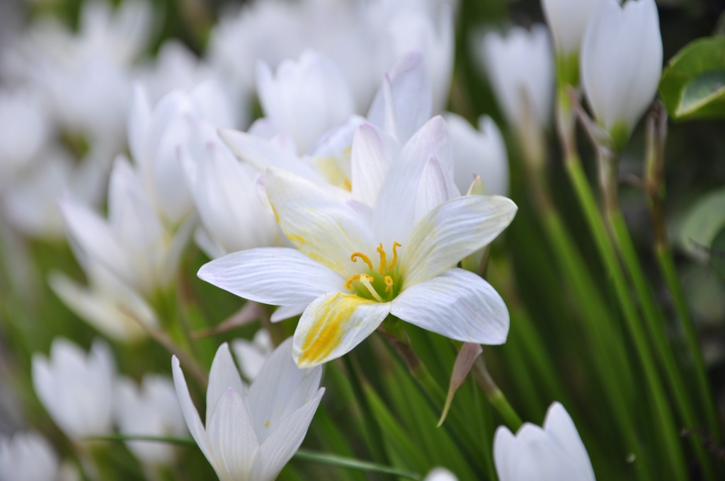 廣州嵌入式行業(yè)發(fā)展前景 廣州嵌入式行業(yè)發(fā)展前景