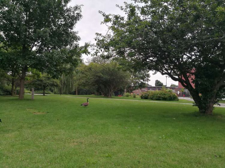 疫情入境德國的注意事項