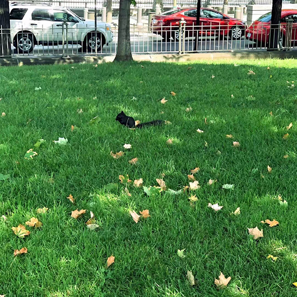 正值申請季，了解歐洲各國名校的deadline很重要！