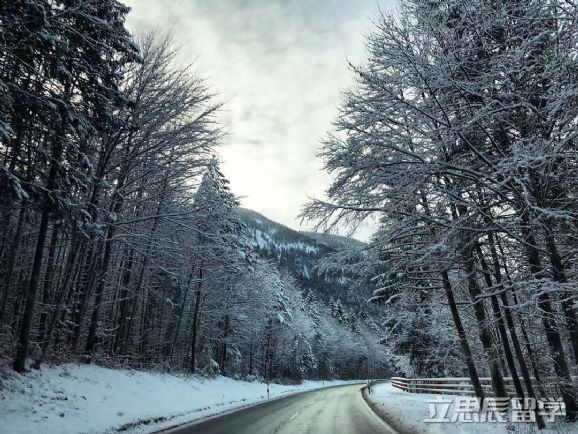 德國(guó)留學(xué)可以享受的免費(fèi)資源有哪些？