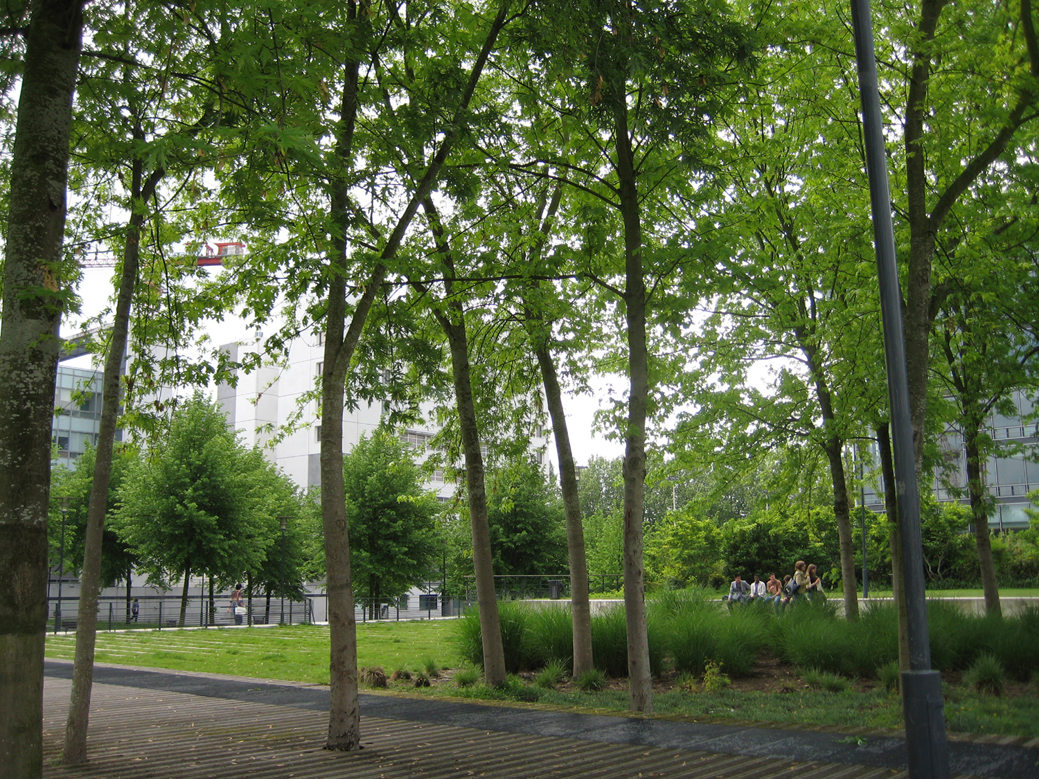 去德國(guó)之后才知道的20件事