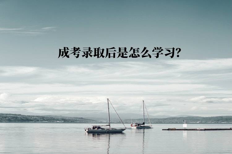 成考錄取后是怎么學(xué)習(xí)？