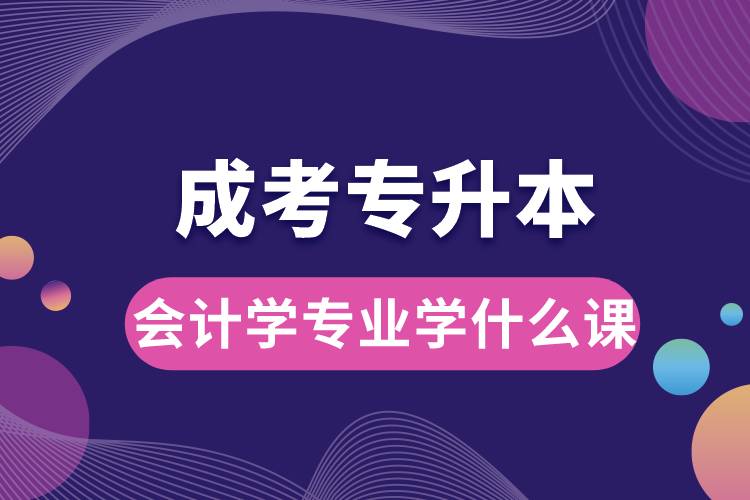 成考專升本會計學(xué)專業(yè)學(xué)什么課