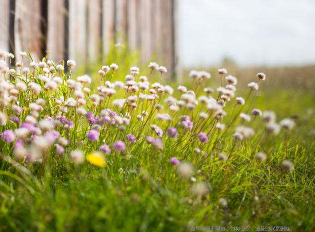 美國(guó)umt大學(xué)是私立學(xué)校嗎？