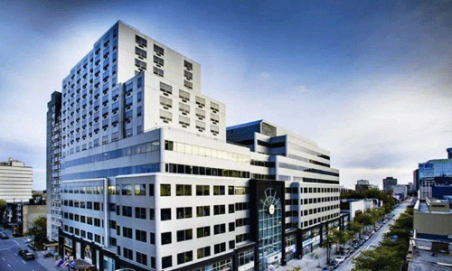 安大略藝術(shù)設(shè)計(jì)學(xué)院本科留學(xué)專業(yè)有哪些？