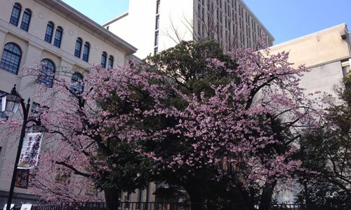 日本東京家政大學(xué)怎么樣？