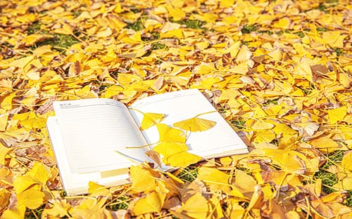 成人高考培訓(xùn)需要簽合同嗎？