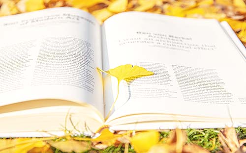 成人高考提升大專有什么專業(yè)？