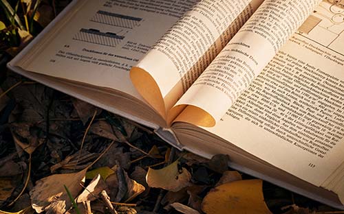 【2023年成人高考】成人高考必須是戶籍所在地嗎？