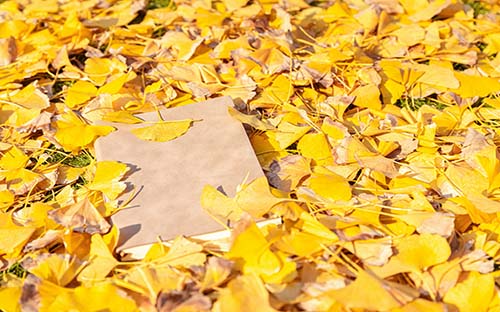 【2023年成人高考】安徽成人高考學(xué)歷提升有助學(xué)金嗎？