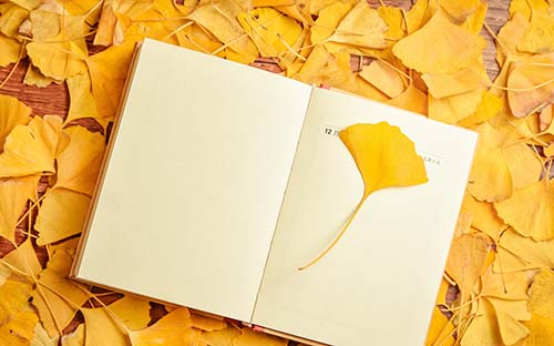 【2023年成人高考】山東成人高考錄取分數什么時候出？