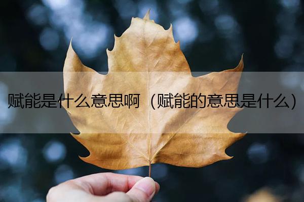 賦能是什么意思?。ㄙx能的意思是什么）